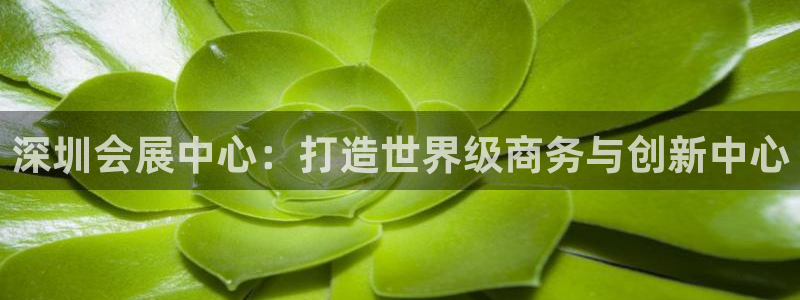 果博平台真实吗