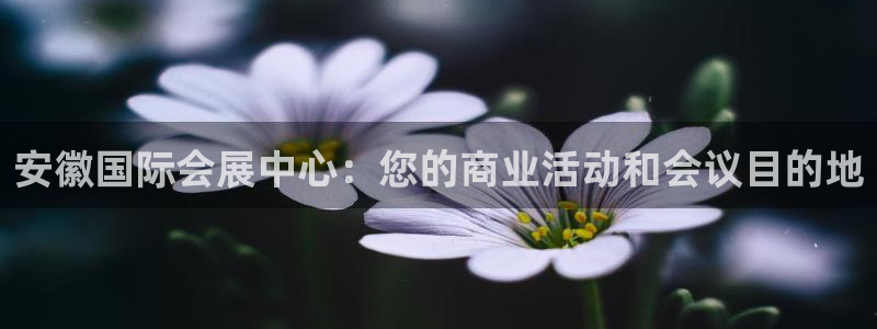 果博公司：安徽国际会展中心：您的商业活动和会议目的地