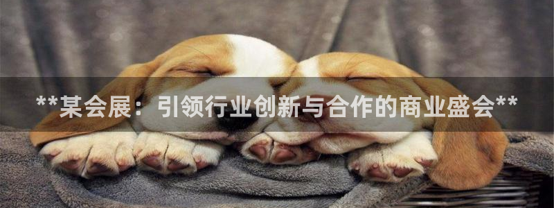 果博官网：**某会展：引领行业创新与合作的商业盛会**