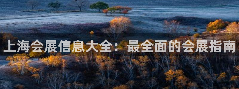 果博官网客服：上海会展信息大全：最全面的会展指南