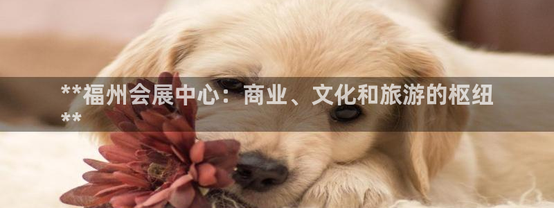 果博平台开户电话是多少：**福州会展中心：商业、文化和旅游的枢纽
**