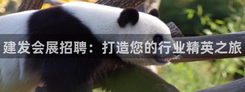 果博注册客服电话号码