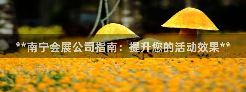 下载果博app：**南宁会展公司指南：提升您的活动效果**