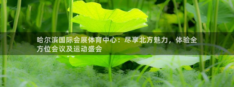 果博公司客服电话号码：哈尔滨国际会展体育中心：尽享北方魅力，体验全
方位会议及运动盛会