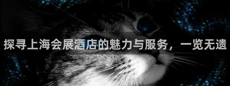 果博公司会员怎么开户：探寻上海会展酒店的魅力与服务，一览无遗
