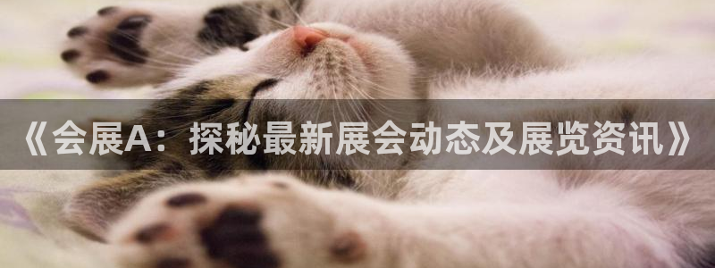 果博代理怎么注册