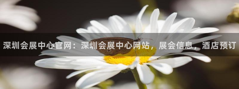 果博公司会员注册账号开户：深圳会展中心官