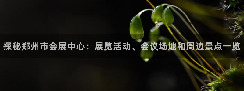 果博公司客服微信怎么加：探秘郑州市会展中