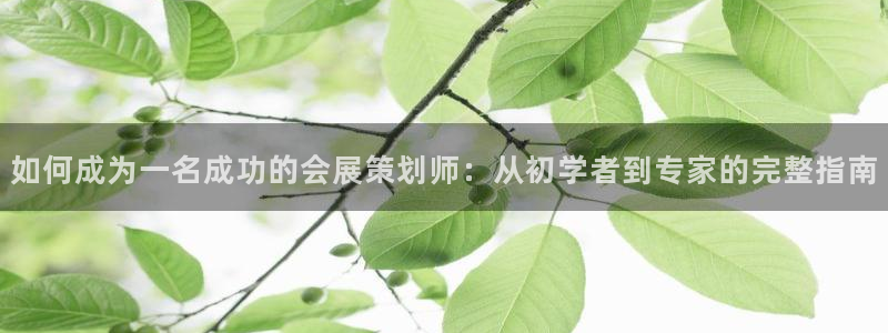 果博客服微信是多少：如何成为一名成功的会