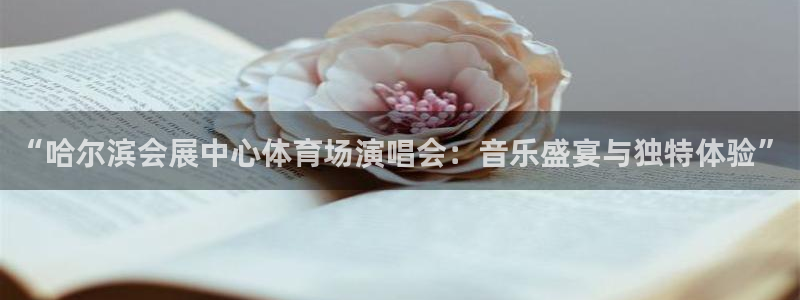 果博平台真实吗知乎：“哈尔滨会展中心体育场演唱会：音乐盛宴与独特体验”