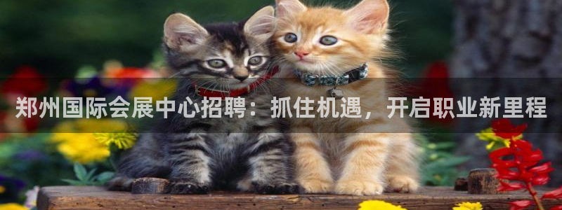 果博官网电话：郑州国际会展中心招聘：抓住机遇，开启职业新里程