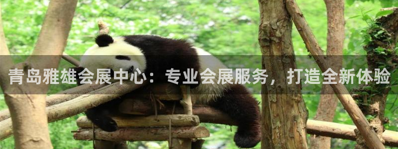 果博公司客服联系方式：青岛雅雄会展中心：专业会展服务，打造全新体验