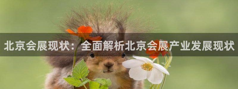 果博手机下载网址：北京会展现状：全面解析北京会展产业发展现状