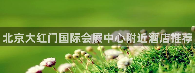 果博注册链接：北京大红门国际会展中心附近
