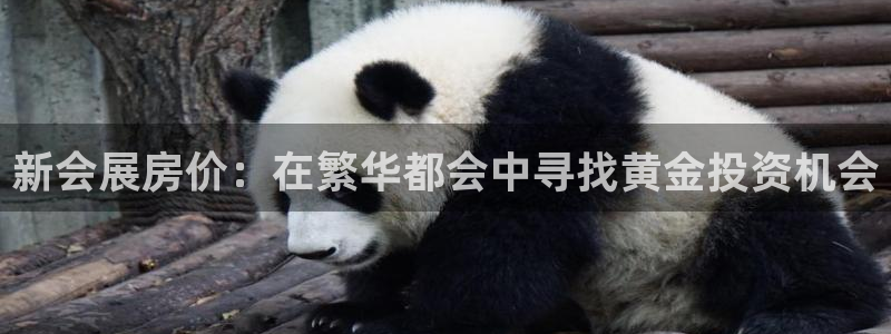 果博账号注册