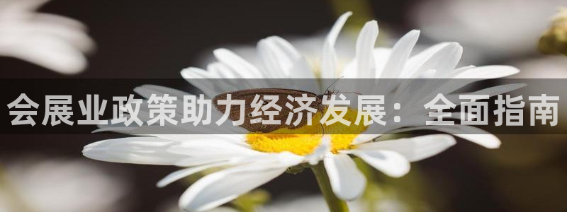 果博环保官网：会展业政策助力经济发展：全面指南
