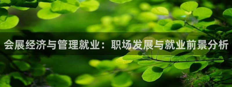 果博平台真实吗知乎推荐：会展经济与管理就业：职场发展与就业前景分析