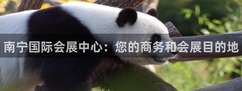 果博客服微信是多少：南宁国际会展中心：您的商务和会