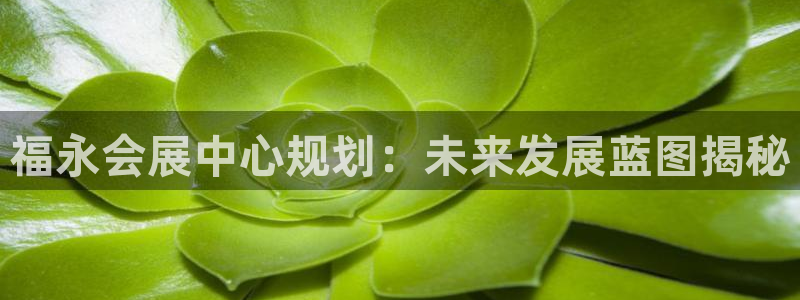 果博公司客服微信怎么加：福永会展中心规划：未来发展蓝图揭秘