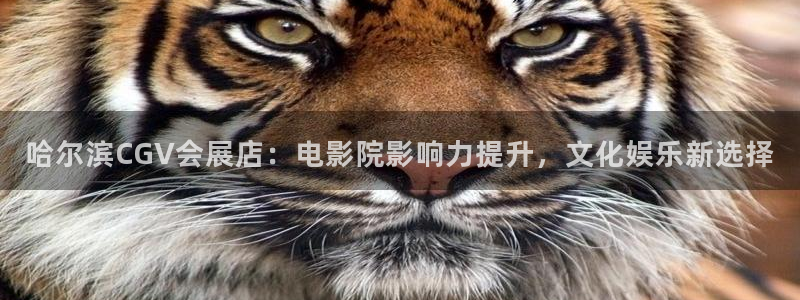 果博环保官网：哈尔滨CGV会展店：电影院影响力提升，文化娱乐新选择