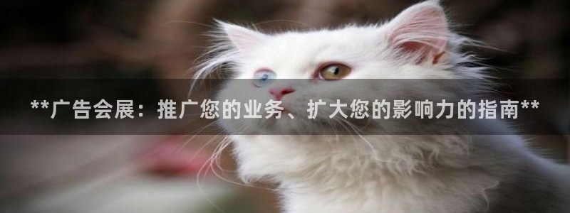 果博公司怎么注册会员：**广告会展：推广您的业务、扩大您的影响力的指南**