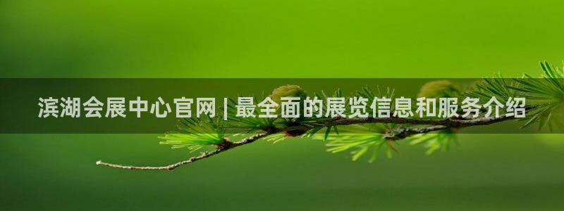 电脑怎么下载果考网：滨湖会展中心官网 |