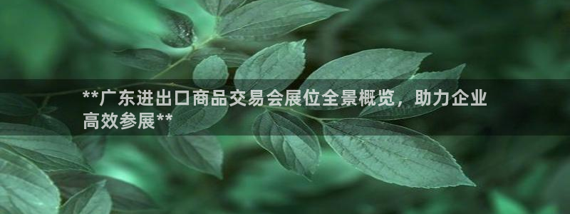 果博代理怎么注册：**广东进出口商品交易
