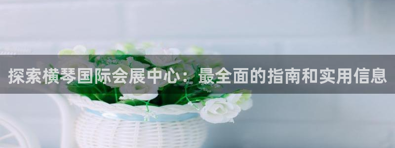 果博代理怎么注册：探索横琴国际会展中心：