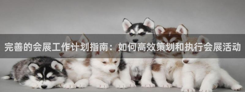 果博平台客服：完善的会展工作计划指南：如