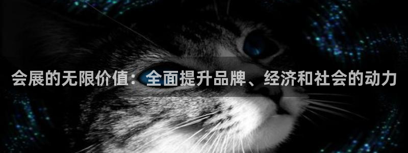 果博公司上分客服：会展的无限价值：全面提