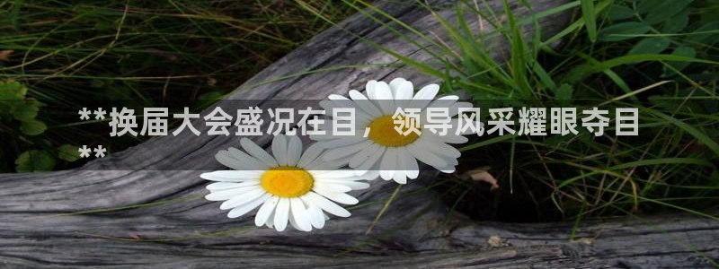 果博代理网：**换届大会盛况在目，领导风