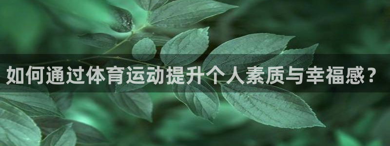 哈哈体育
