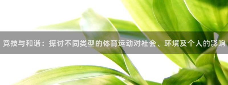 哈哈体育十年